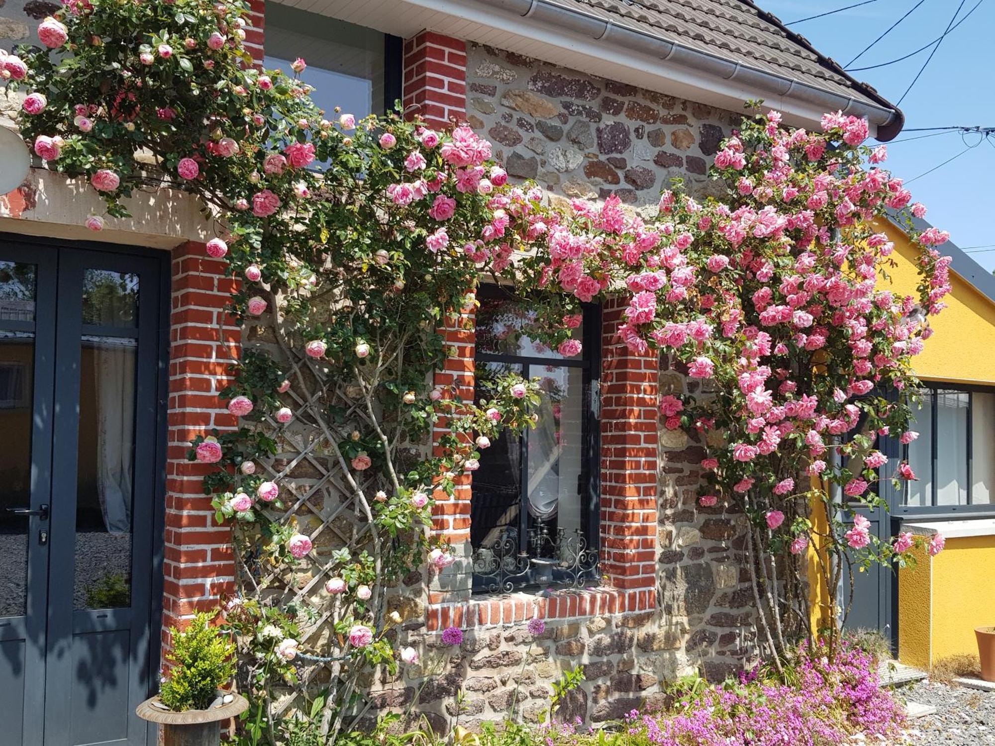 Le Jardin Acomodação com café da manhã Coudeville Exterior foto