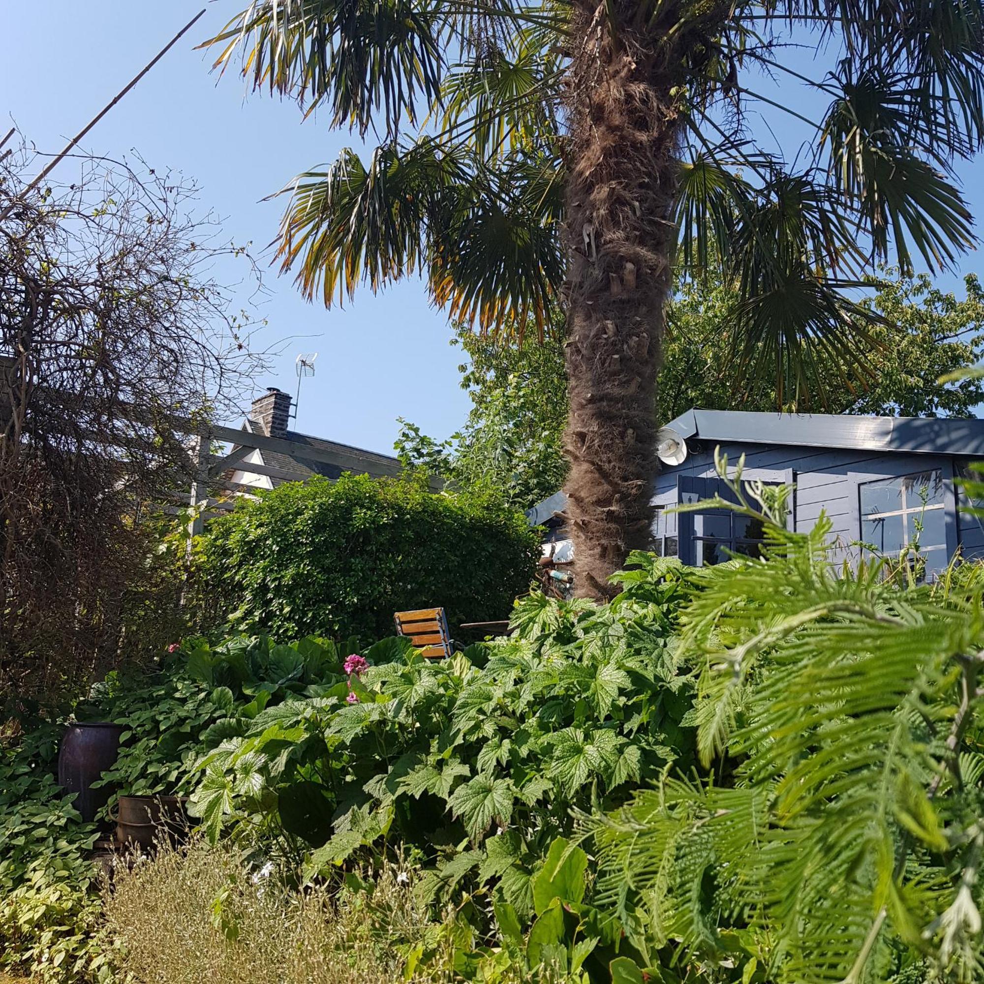 Le Jardin Acomodação com café da manhã Coudeville Exterior foto